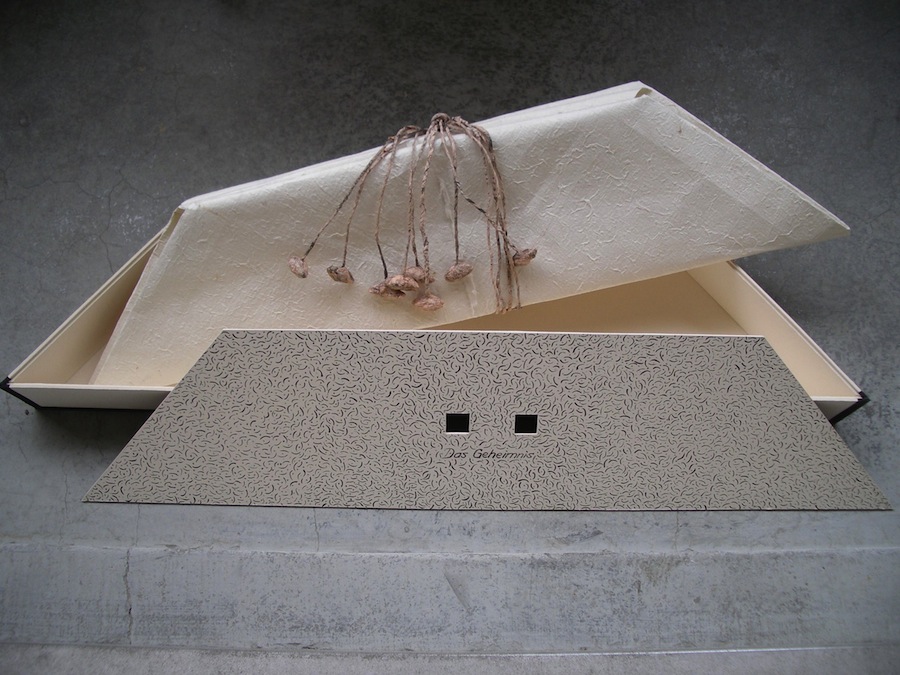Geheimnisbox