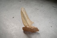 Kleinobjekte