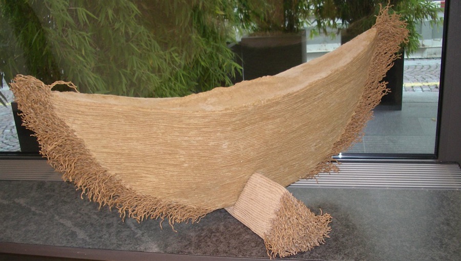Canoe