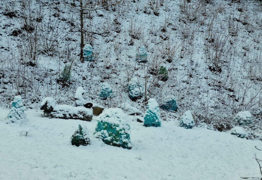 EisbergeWinter
