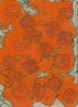 Zwischenkarton